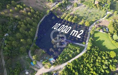 CB ENVOY'dan Gölcük Hamidiye'de Doğanın Kalbinde 10.000m2 Tarla