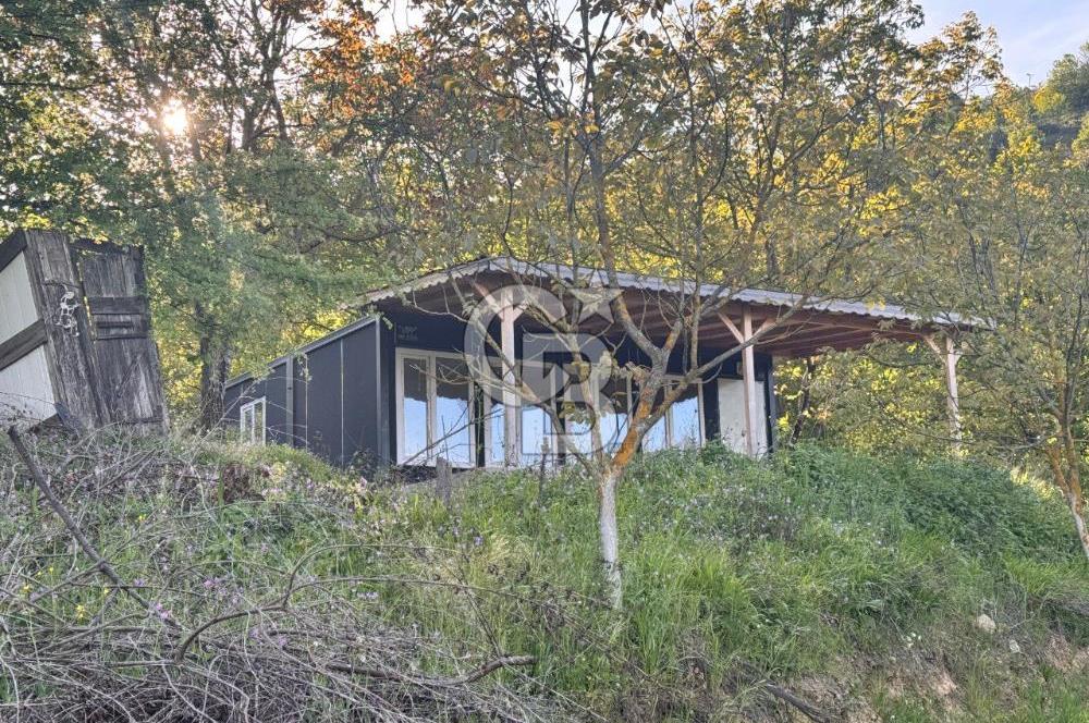 CB ENVOY'dan Gölcük Hamidiye'de Doğanın Kalbinde 10.000m2 Tarla