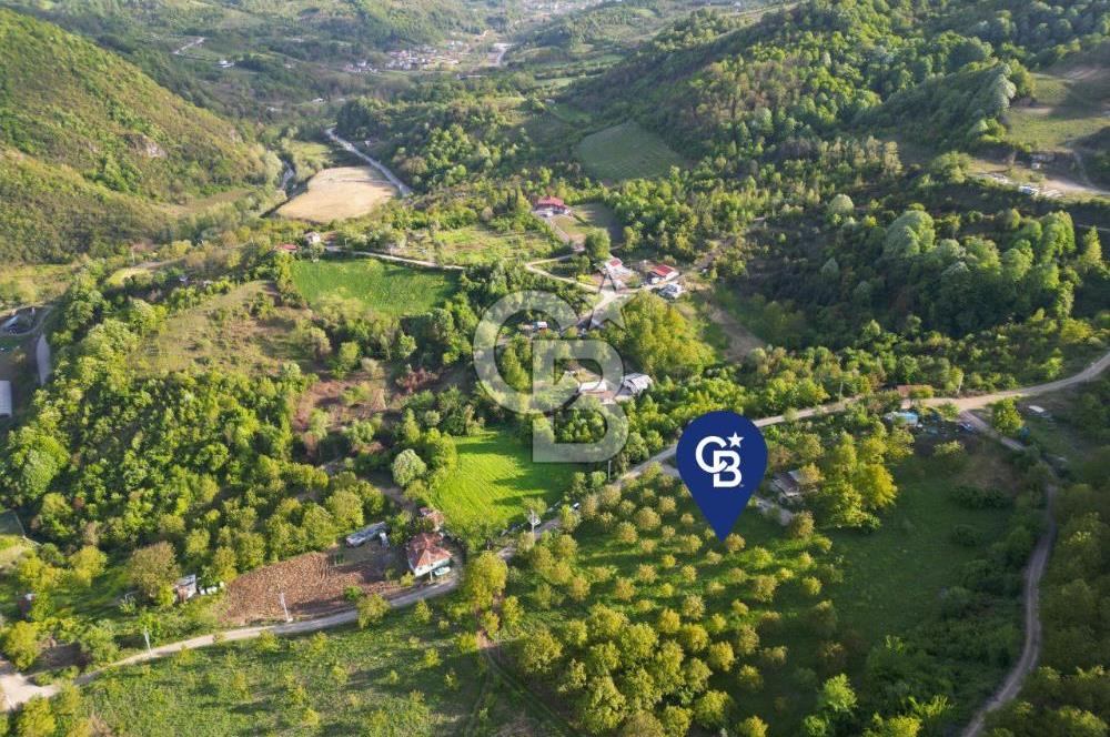 CB ENVOY'dan Gölcük Hamidiye'de Doğanın Kalbinde 10.000m2 Tarla
