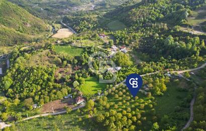 CB ENVOY'dan Gölcük Hamidiye'de Doğanın Kalbinde 10.000m2 Tarla