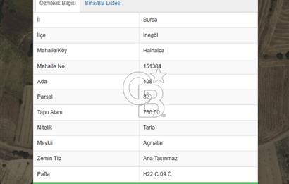 İNEGÖL HALHALCA'DA SATILIK TARLA
