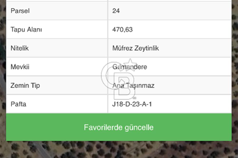 İzmir Bergama Bozköy’de Satılık Müstakil Zeytinlik 
