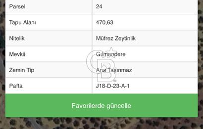 İzmir Bergama Bozköy’de Satılık Müstakil Zeytinlik 
