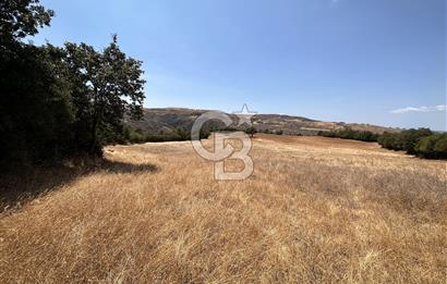 ÇANAKKALE YUKARIOKÇULAR KÖYÜNDE SATILIK TARLA