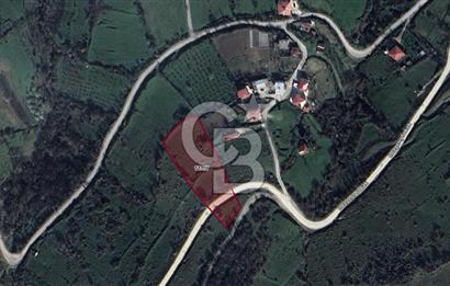 Canik Gültepede 4.700 m² Yatırımlık Tarla Şehir Hastanesine Yakın