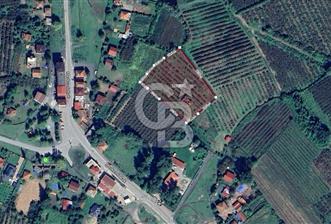 SAMSUN ÇARŞAMBA KIZILOT'DA SATILIK TARLA