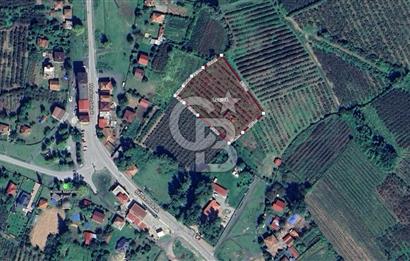 SAMSUN ÇARŞAMBA KIZILOT'DA SATILIK TARLA
