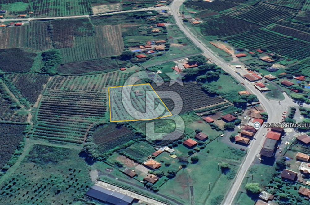 SAMSUN ÇARŞAMBA KIZILOT'DA SATILIK TARLA