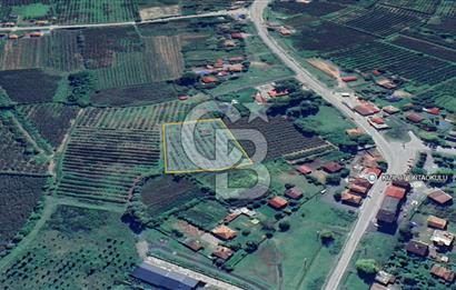 SAMSUN ÇARŞAMBA KIZILOT'DA SATILIK TARLA