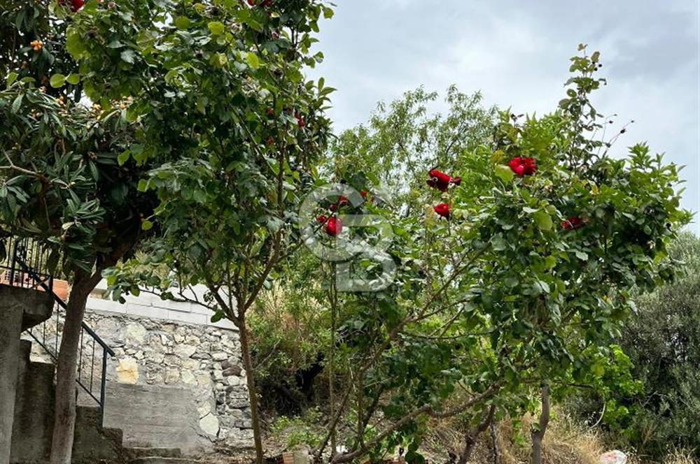 İZMİR DİKİLİ BADEMLİ'DE EŞYALI KİRALIK DAİRE
