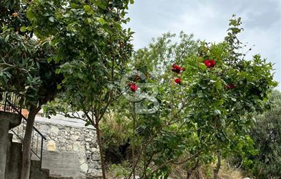 İZMİR DİKİLİ BADEMLİ'DE EŞYALI KİRALIK DAİRE