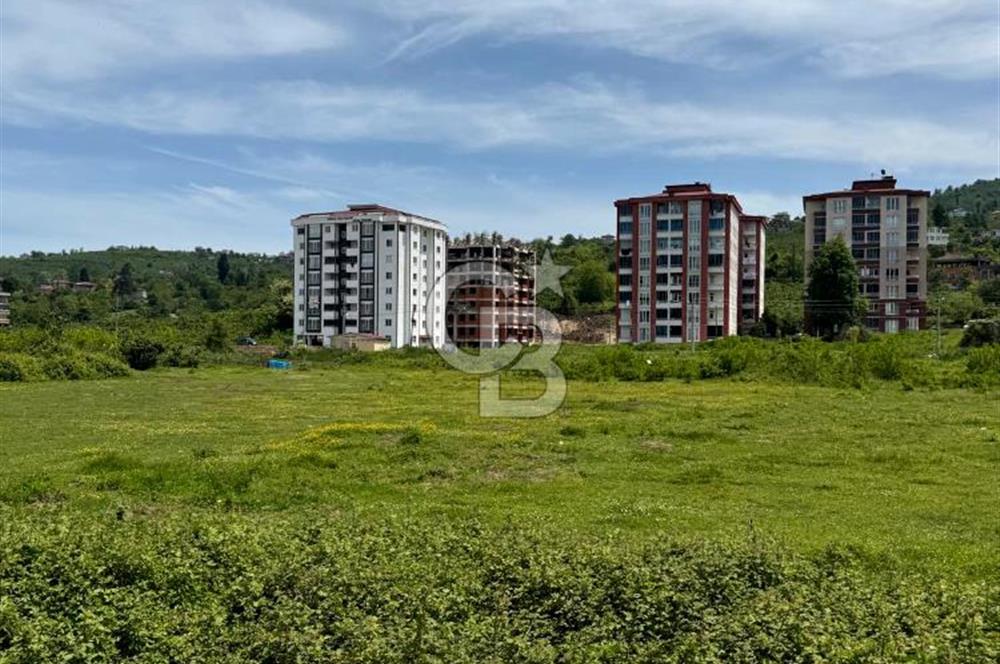 ESKİPAZAR'da 9 Kat İmarlı Arsa 