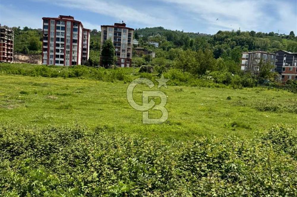 ESKİPAZAR'da 9 Kat İmarlı Arsa 