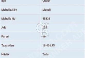 ÇUBUK MEŞELİ KÖYÜNDE SATILIK18.4 DÖNÜM EKİLEBİLİR TARLA