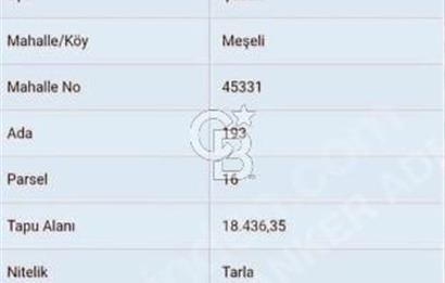 ÇUBUK MEŞELİ KÖYÜNDE SATILIK18.4 DÖNÜM EKİLEBİLİR TARLA