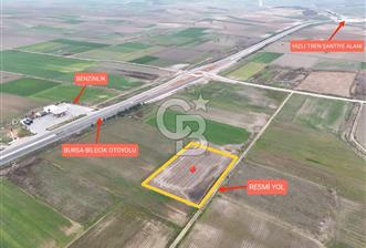 Bursa Yenişehir Ebeyköy'de Asfalt Yola Yakın Satılık Tarla