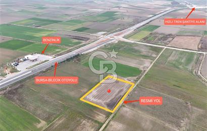 Bursa Yenişehir Ebeyköy'de Asfalt Yola Yakın Satılık Tarla
