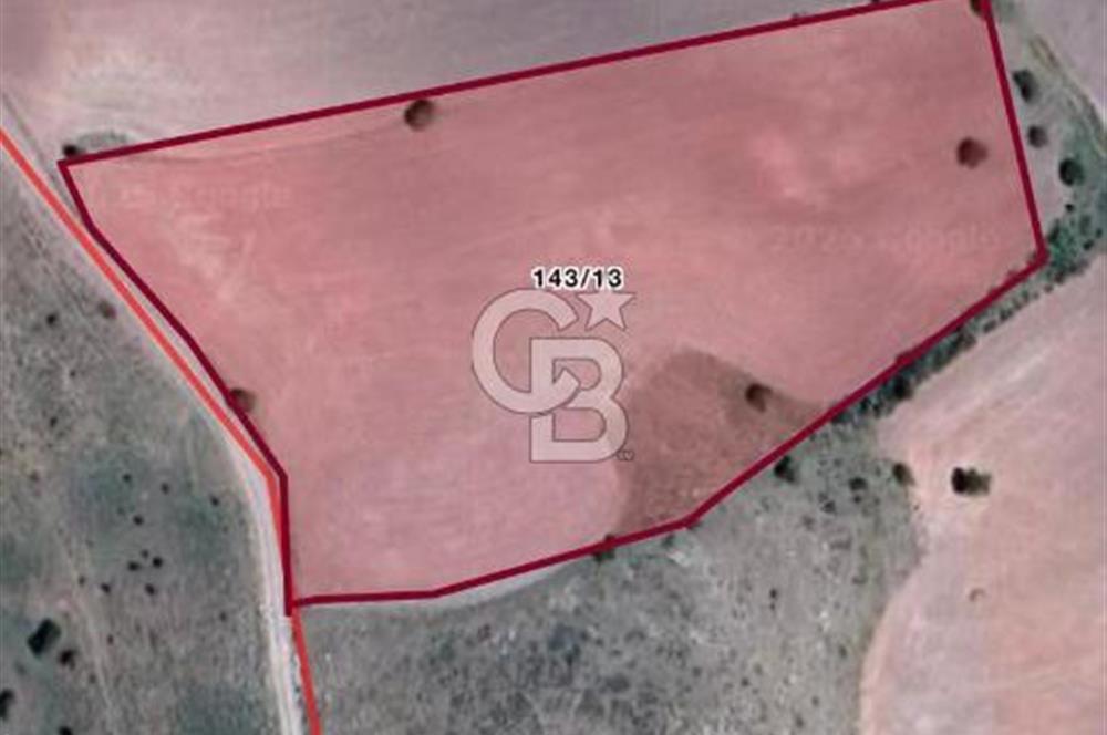 MEMLİK MERKEZE 4 KM MESAFEDE YOLA CEPHE TEK TAPU SATILIK TARLA