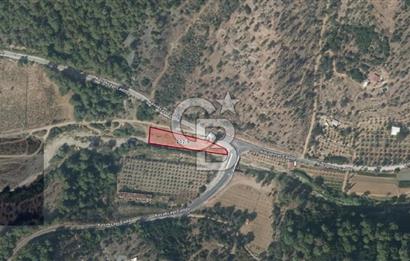 SEFERİHİSAR KAVAKDERE'DE 1780 M² YOLA CEPHELİ TARLA VE TAŞ VİLLA