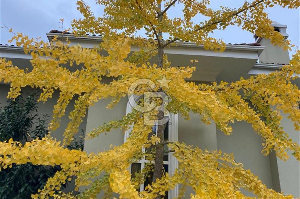 ÇEKMEKÖY PARK KONAKLARINDA MUAZZAM VİLLA