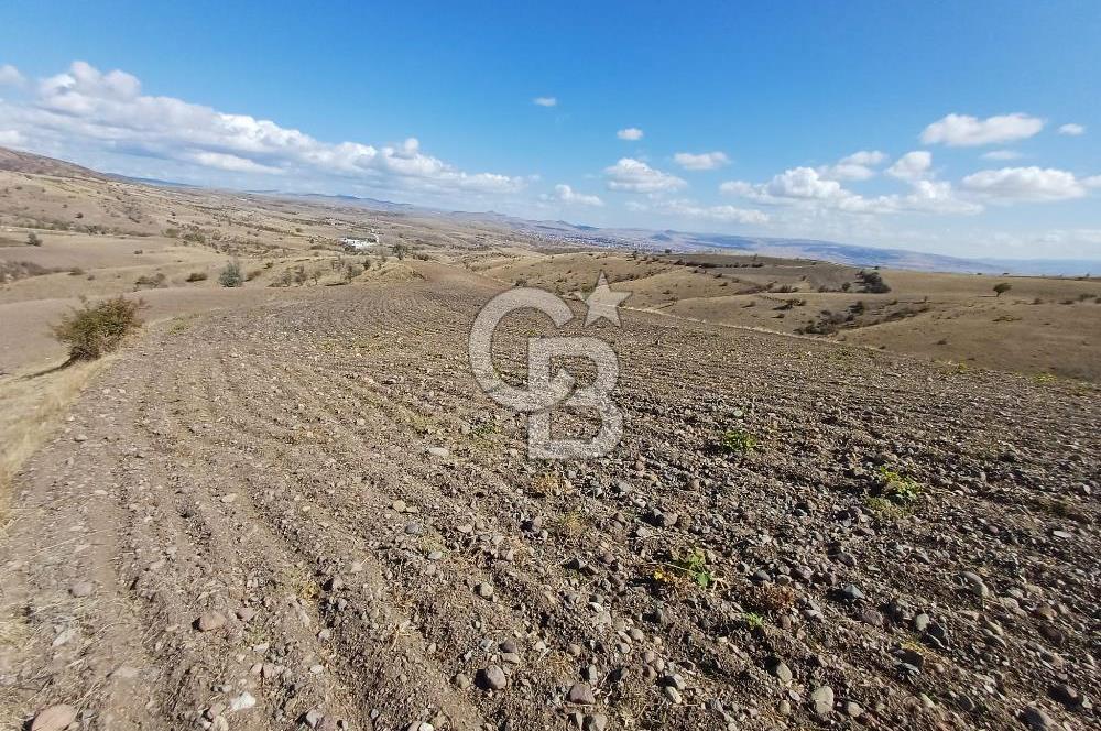 Ankara Çubuk'ta Tek Tapu 12.344 m2 Satılık Tarla