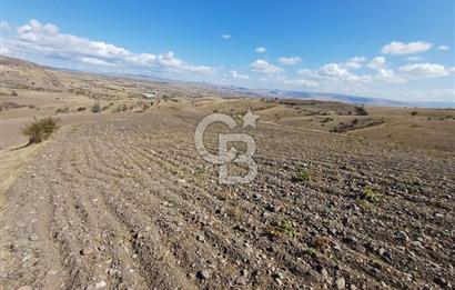 Ankara Çubuk'ta Tek Tapu 12.344 m2 Satılık Tarla