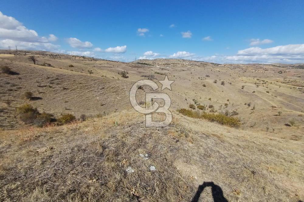 Ankara Çubuk'ta Tek Tapu 12.344 m2 Satılık Tarla