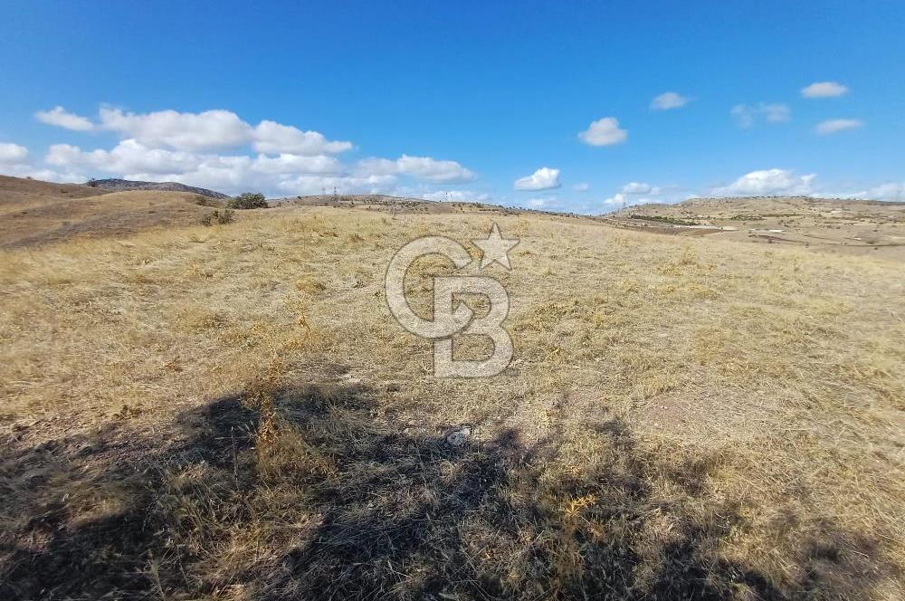 Ankara Çubuk'ta Tek Tapu 12.344 m2 Satılık Tarla