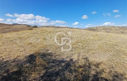 Ankara Çubuk'ta Tek Tapu 12.344 m2 Satılık Tarla