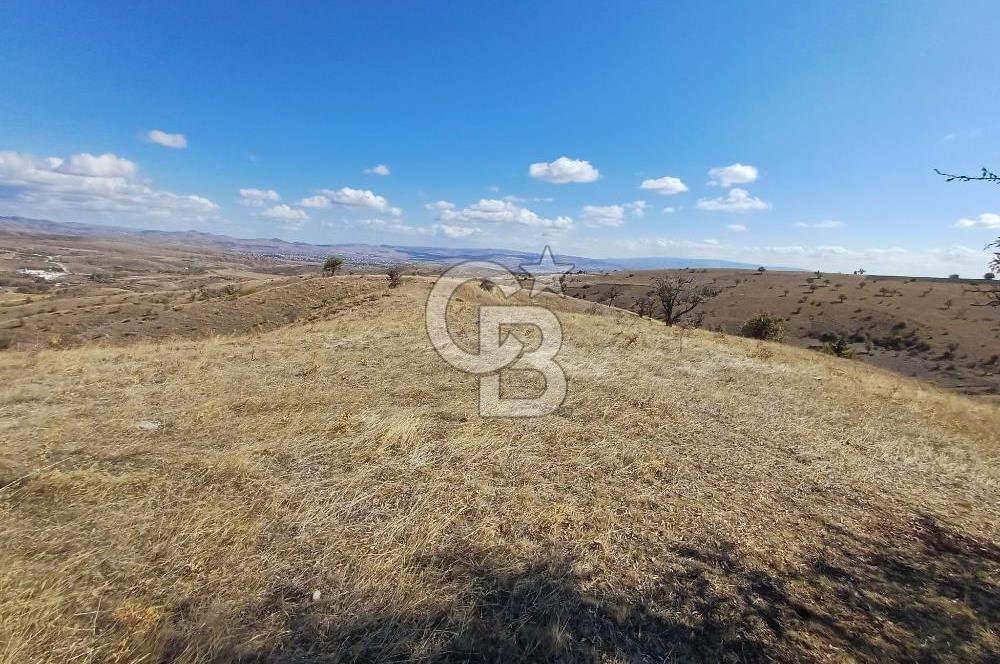 Ankara Çubuk'ta Tek Tapu 12.344 m2 Satılık Tarla