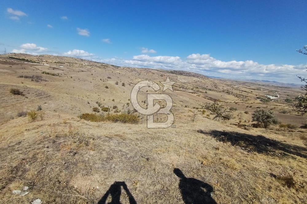 Ankara Çubuk'ta Tek Tapu 12.344 m2 Satılık Tarla
