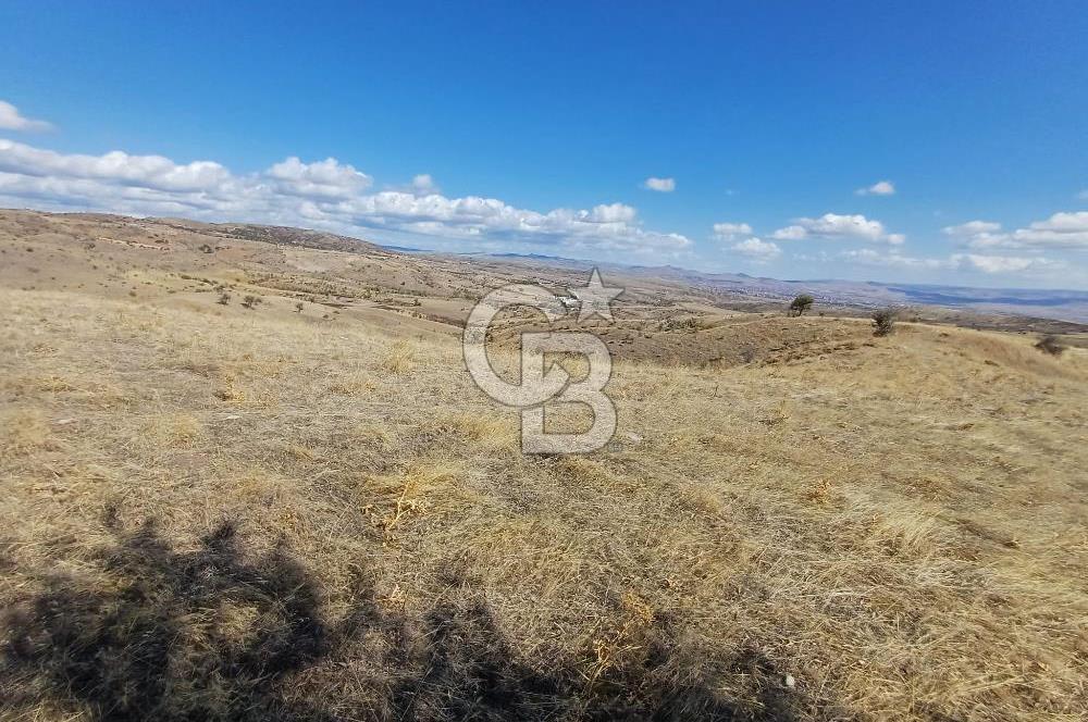 Ankara Çubuk'ta Tek Tapu 12.344 m2 Satılık Tarla