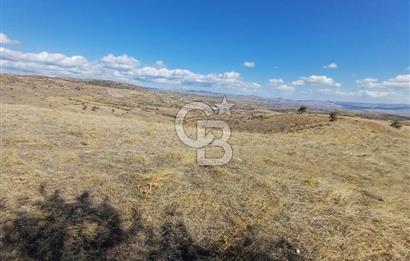 Ankara Çubuk'ta Tek Tapu 12.344 m2 Satılık Tarla