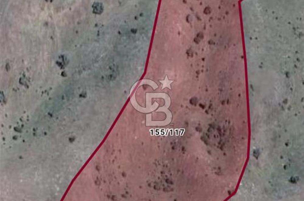 Ankara Çubuk'ta Tek Tapu 12.344 m2 Satılık Tarla