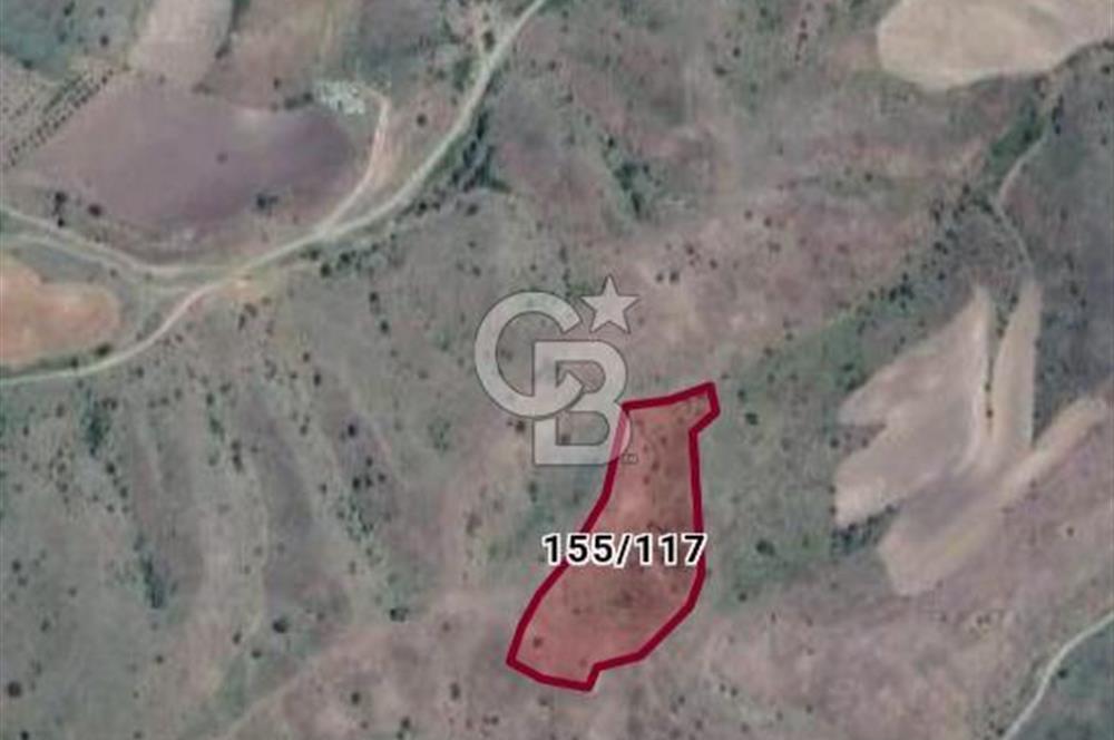 Ankara Çubuk'ta Tek Tapu 12.344 m2 Satılık Tarla