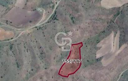 Ankara Çubuk'ta Tek Tapu 12.344 m2 Satılık Tarla