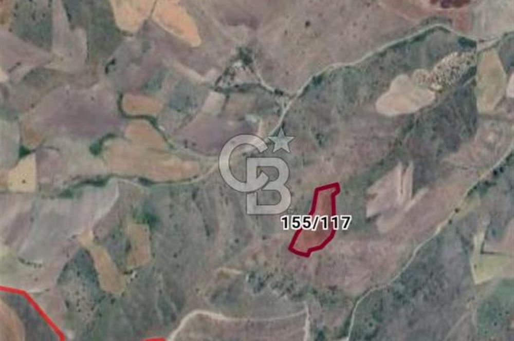 Ankara Çubuk'ta Tek Tapu 12.344 m2 Satılık Tarla