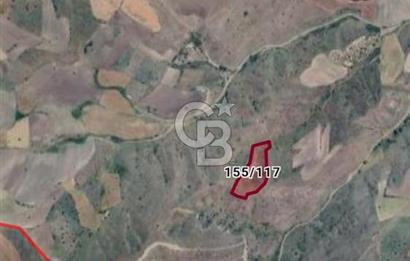 Ankara Çubuk'ta Tek Tapu 12.344 m2 Satılık Tarla