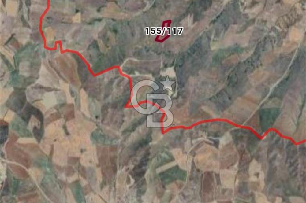 Ankara Çubuk'ta Tek Tapu 12.344 m2 Satılık Tarla