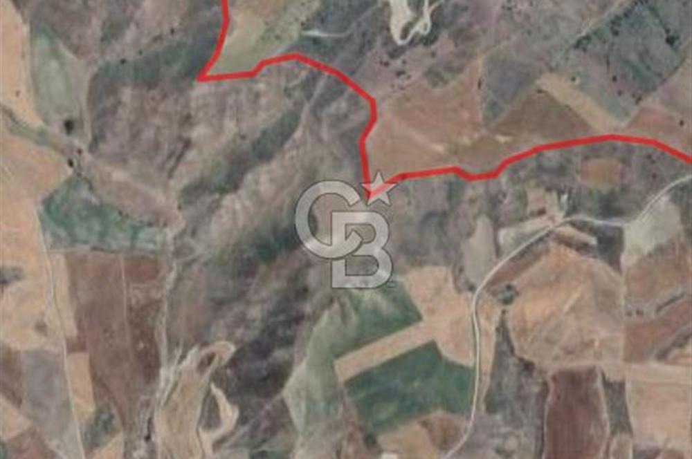 Ankara Çubuk'ta Tek Tapu 12.344 m2 Satılık Tarla