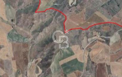 Ankara Çubuk'ta Tek Tapu 12.344 m2 Satılık Tarla
