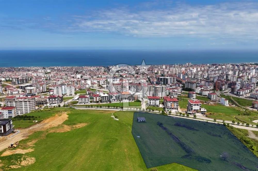 Balaçta Recep Tayyip Erdoğan Bulvarına Cephe 25 Dönüm Eşsiz Arsa