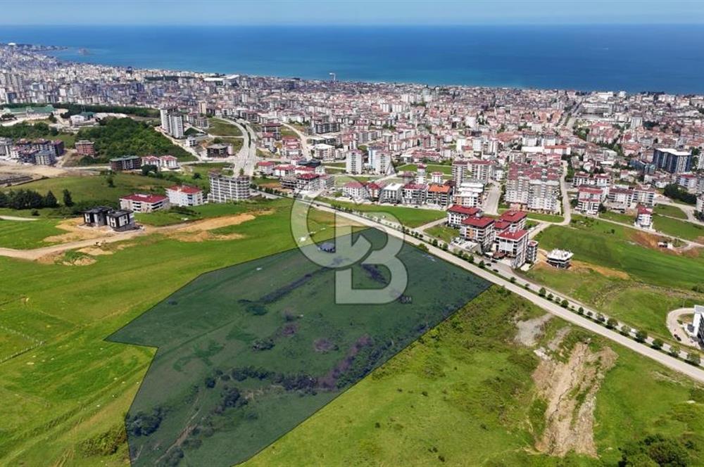 Balaçta Recep Tayyip Erdoğan Bulvarına Cephe 25 Dönüm Eşsiz Arsa