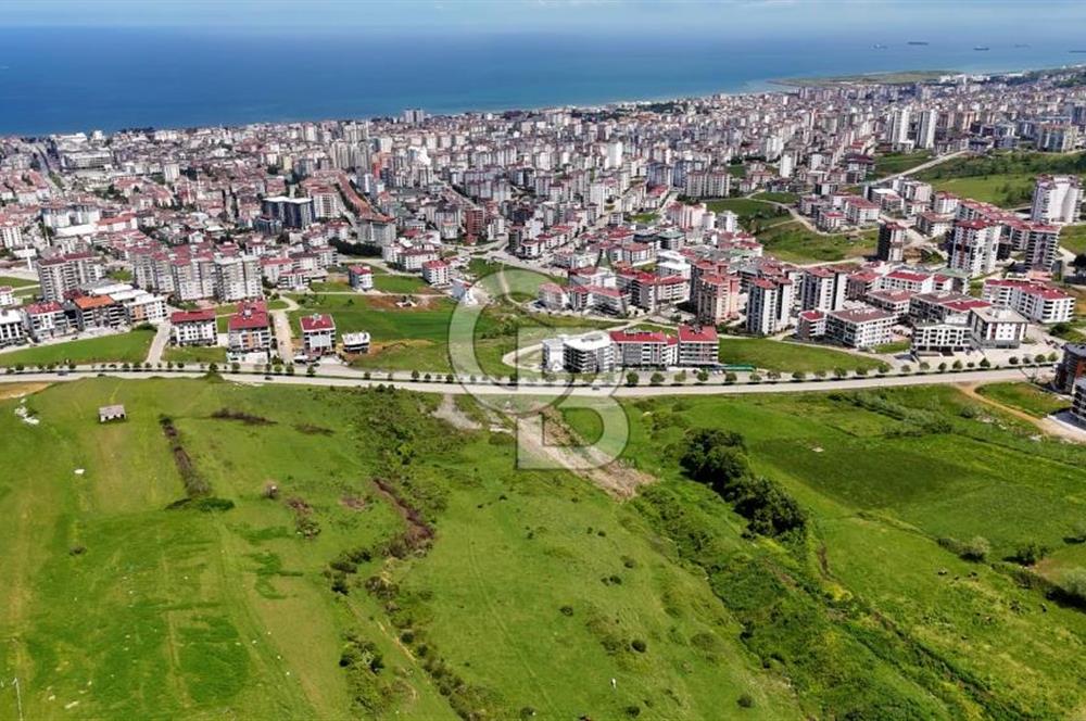 Balaçta Recep Tayyip Erdoğan Bulvarına Cephe 25 Dönüm Eşsiz Arsa