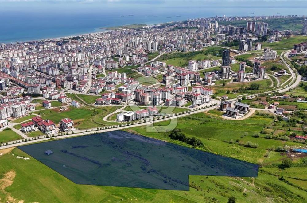 Balaçta Recep Tayyip Erdoğan Bulvarına Cephe 25 Dönüm Eşsiz Arsa