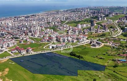 Balaçta Recep Tayyip Erdoğan Bulvarına Cephe 25 Dönüm Eşsiz Arsa
