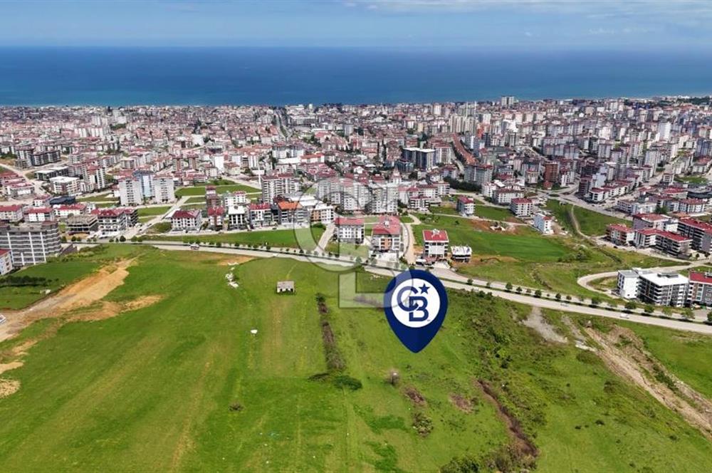 Balaçta Recep Tayyip Erdoğan Bulvarına Cephe 25 Dönüm Eşsiz Arsa