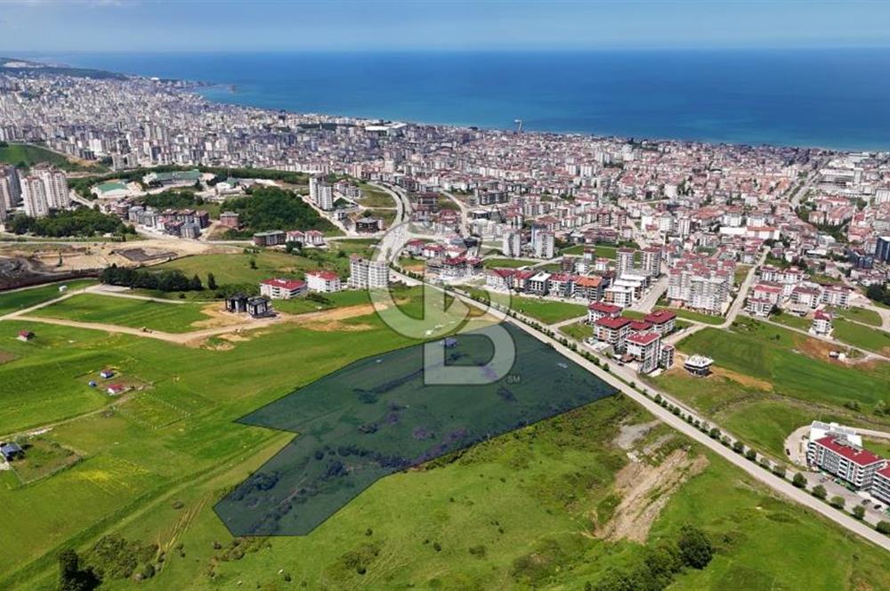 Balaçta Recep Tayyip Erdoğan Bulvarına Cephe 25 Dönüm Eşsiz Arsa