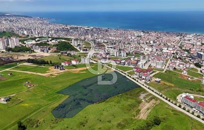 Balaçta Recep Tayyip Erdoğan Bulvarına Cephe 25 Dönüm Eşsiz Arsa