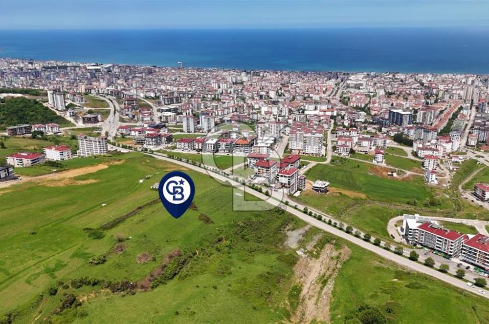 Balaçta Recep Tayyip Erdoğan Bulvarına Cephe 25 Dönüm Eşsiz Arsa